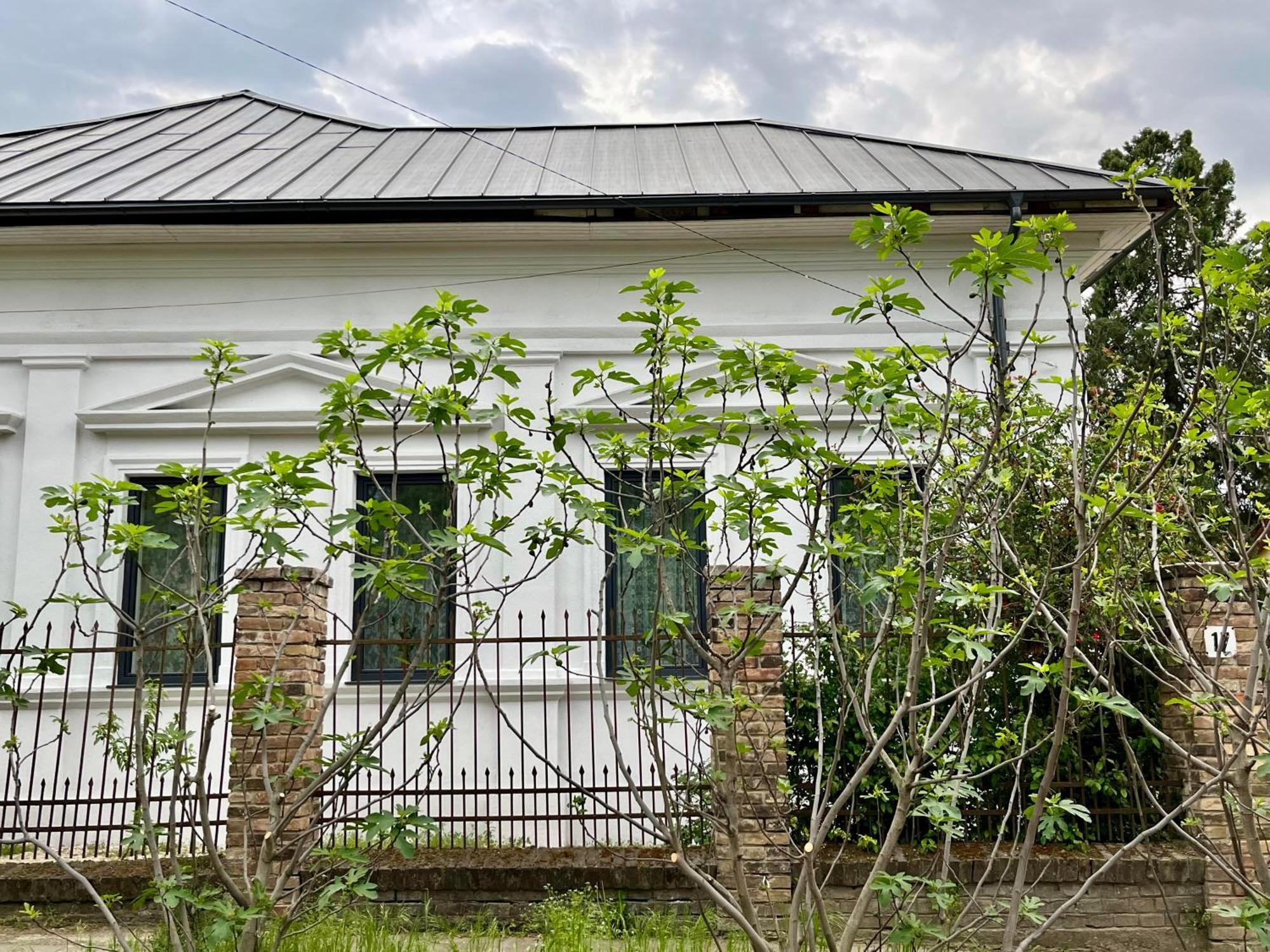 Wagner Villa 902 With Free Private Parking — Fotos 2
